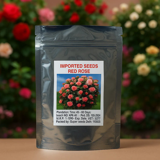 Japanese Climbing Rose Flower Seeds🌹